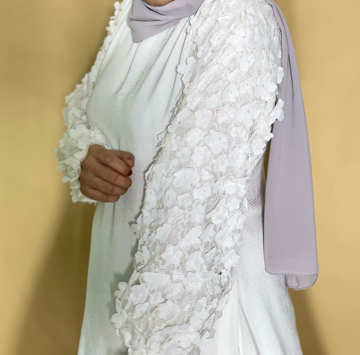 White Net Sleeves Dress